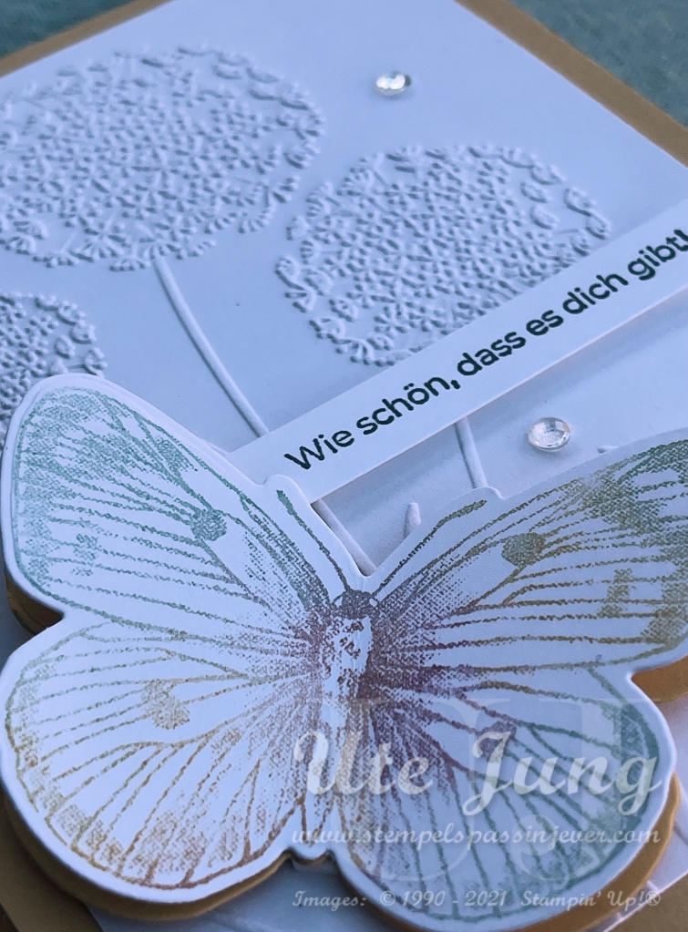 Produktpaket "Butterfly Brillance"