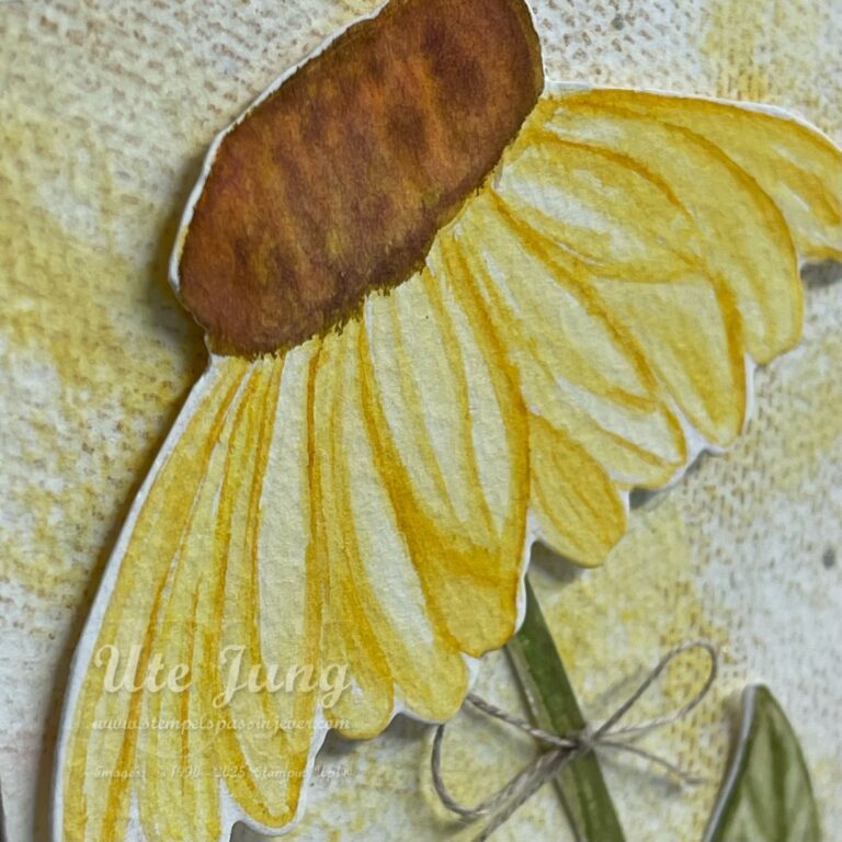 No line watercoloring