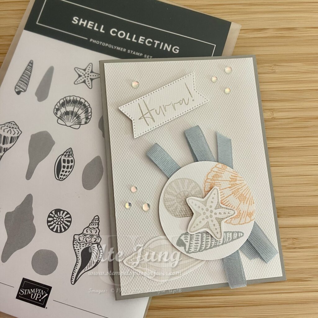 Shell Collecting